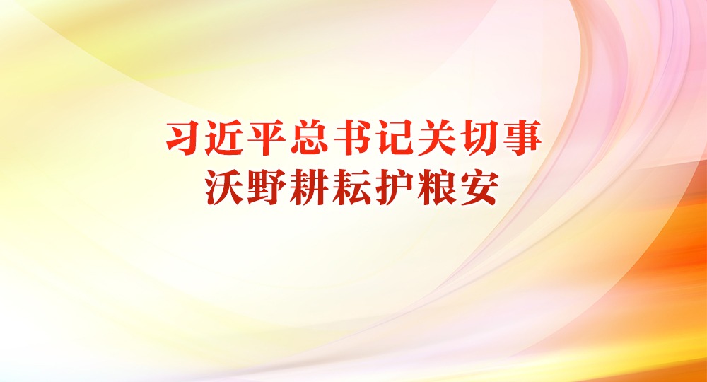 习近平总书记关切事｜沃野耕耘护粮安